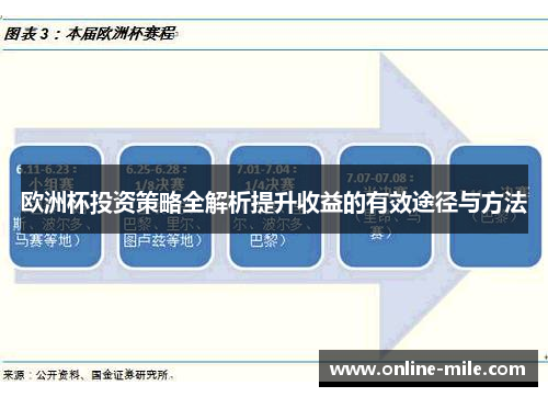 欧洲杯投资策略全解析提升收益的有效途径与方法