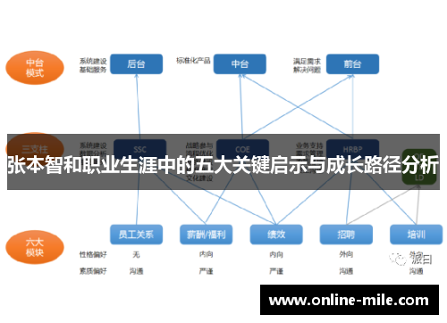 张本智和职业生涯中的五大关键启示与成长路径分析