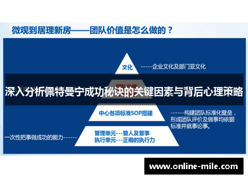 深入分析佩特曼宁成功秘诀的关键因素与背后心理策略