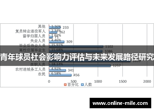 青年球员社会影响力评估与未来发展路径研究
